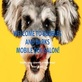 Barks Mobile Dog Grooming Peoria in Peoria, AZ