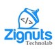 Zignuts Technolab in South San Francisco, CA