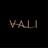 Vali Entertainment - New York Live Music Bands, Vocalists, Orchestras in New York, NY 10009 Music Entertainment