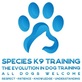 Species K9 Training in Waco, TX Bail Bonds Pet