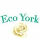 Eco York in York, PA Web Site Design & Development