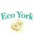 Eco York LLC in York, PA 17402 Web Site Design & Development