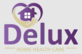 DELUX Home Health Care in Blue Springs, MO