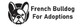 French Bulldogs for Adoption in Mid-City - Santa Ana, CA Adoption Agencies & Services
