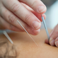 Health & Medical in Willow Glen - San Jose, CA 95125
