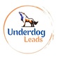 Underdog Leads in Helotes, TX Advertising
