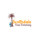 Scottsdale Tree Trimming, Tree Trimmers in South Scottsdale - Scottsdale, AZ Lawn & Tree Service