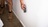 Davenport Termite Removal Experts in Davenport, IA