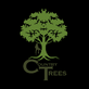 Country Trees in Angleton, TX Tree Service Equipment