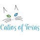 Catios of Texas in Denton, TX Pet Enclosures & Runways