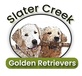 Slater Creek Golden Retrievers in Florissant, CO