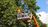 Meadow Hills Tree Service in Aurora, CO