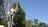 City of Homes Tree Service in Newnan, GA