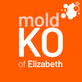 Https://Www.moldko.com in Hillside, NJ Green - Mold & Mildew Services