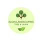 Elgin Landscaping Tree & Lawn in Manor, TX