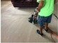 Carpet Cleaning in Cullman Alabama in Hanceville, AL