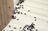 Scenic City Pest Control Solutions in Chattanooga, TN 37402