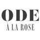 Ode À LA Rose Austin in North Austin - Austin, TX Florists