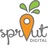 Sprout Digital in Lithia, FL