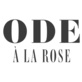 Ode À LA Rose Miami in Allapattah - Miami, FL Flowers & Florist Supplies