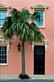 Pineapple Properties in Summerville, SC Property Management