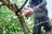 Albany Tree Service Pros in Melrose - Albany, NY 12203 Lawn & Tree Service