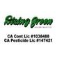 Rising Green Inc Tree & Landscaping in Hanford, CA Tree Services