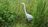 Bluegrass State Wildlife Control Experts in Richmond, KY