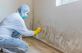 City of Lights Mold Removal Experts in Aurora, IL Construction Inspectors