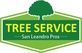 Tree Service San Leandro Pros in San Leandro, CA Palm Trees