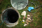 Swamp Rabbit Septic in Travelers Rest, SC Septic Systems Installation & Repair