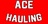 ACE Hauling & Junk Removal Omaha in Omaha, NE