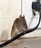 Culbertson Park Pest Control in Paris, TX