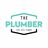 The Plumber in Northeast - Mesa, AZ