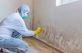 Shopping Paradise Mold Removal Experts in McLean, VA Deck Builders Commercial & Industrial