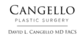David Cangello, MD, Facs in New York, NY Physicians & Surgeons Plastic Surgery