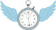 Time Flys Fitness in Laguna Hills, CA Personal Fitness Trainers
