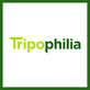 Tripophilia in New York, NY Adventure Travel