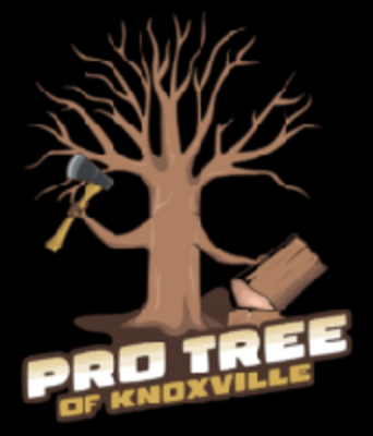 Pro Tree of Knoxville in Knoxville, TN 37924 Tree Service