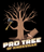 Pro Tree of Knoxville in Knoxville, TN