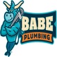 Babe Plumbing, Drains, Water Heaters & More in Mankato, MN Plumbers - Information & Referral Services