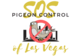 Sos Pigeon Control of Las Vegas in Rancho Charleston - Las Vegas, NV Pigeon Control Services