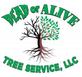 Dead or Alive Tree Service in Port Orange, FL Stump & Tree Removal