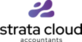 Strata Cloud Accountants in Austin, TX Accountants Business