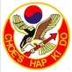 Choe’s Hapkido Martial Arts in Cumming, GA Entertainment