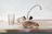 American Riviera Termite Removal Experts in Upper State - Santa Barbara, CA