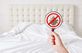 Exporters Pest Control Services in Tacoma, WA 98402
