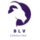 BLV Consulting Group in South Scottsdale - Scottsdale, AZ General Business Consulting Services