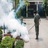Cherub Termite Removal Experts in Dover, DE