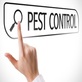 Riverside Termite Removal Experts in Airport - Riverside, CA Disinfecting & Pest Control Services